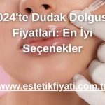 2024'te Dudak Dolgusu Fiyatları: En İyi Seçenekler