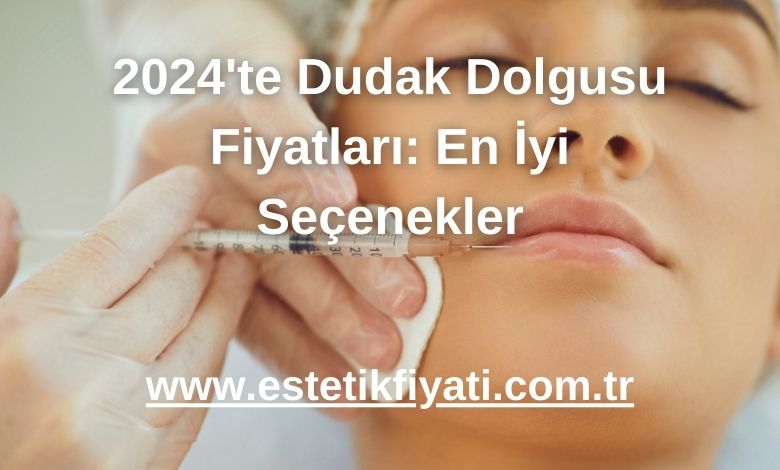 2024'te Dudak Dolgusu Fiyatları: En İyi Seçenekler